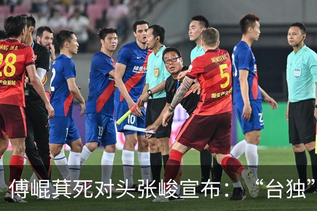傅崐萁死对头张峻宣布：“台独”富商童子贤出任竞选总部主委