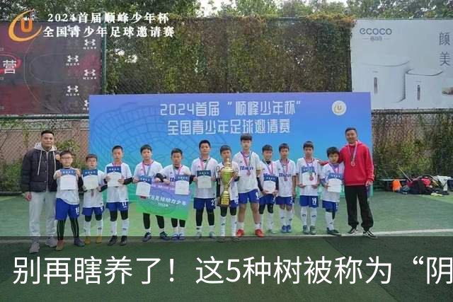 别再瞎养了！这5种树被称为“阴树”，再喜欢也别搬进家，看完赶紧搬出去
