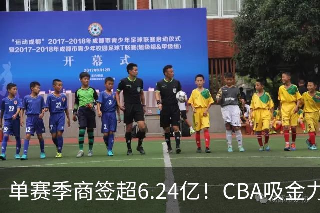单赛季商签超6.24亿！CBA吸金力不俗，升降级+外援新政全面落地