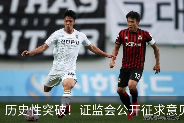 历史性突破！证监会公开征求意见，散户十大改革建议刷屏全网