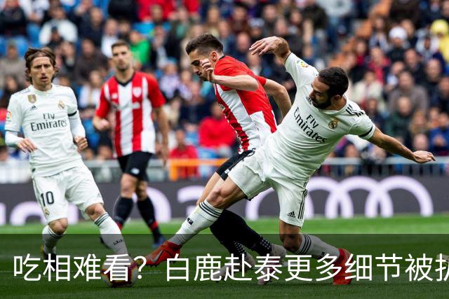 吃相难看？白鹿赴泰更多细节被扒，多人被牵连，难怪坚决不取消活动