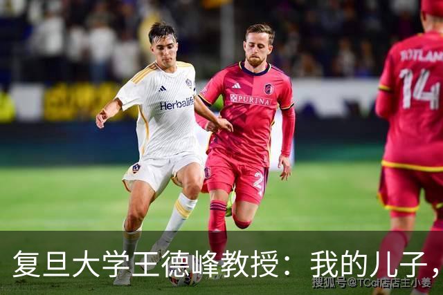 复旦大学王德峰教授：我的儿子，从小念最好的中学，却只上了二本