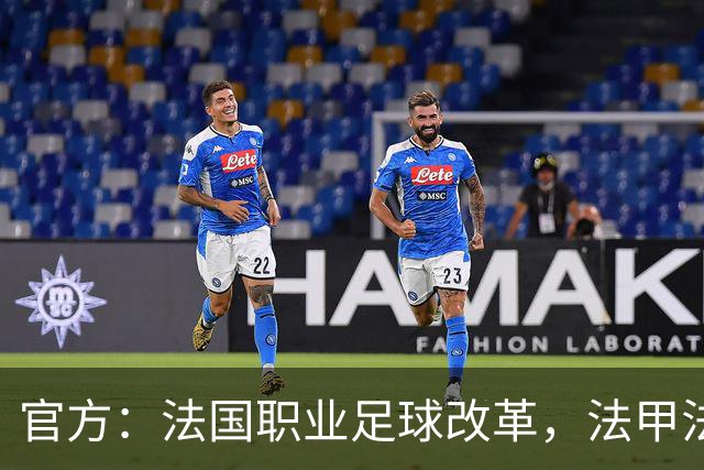 官方：法国职业足球改革，法甲法乙将由俱乐部控股的商业公司运营