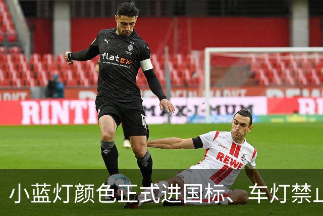 小蓝灯颜色正式进国标、车灯禁止显示文字、禁止用语音关车灯，工信部公开征求意见