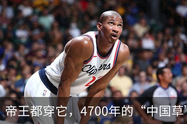 帝王都穿它，4700年的“中国草”，被棉花打压多年，靠新中式逆袭