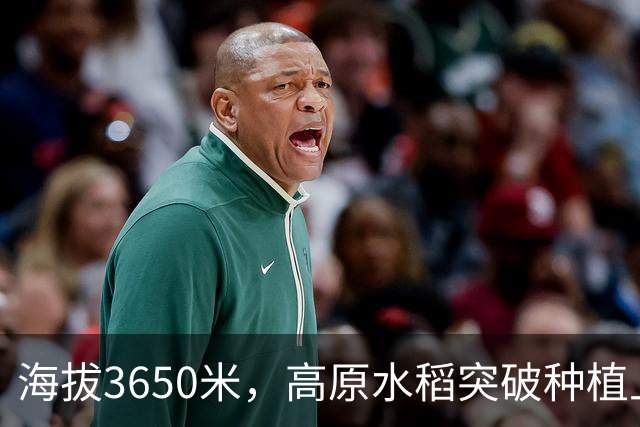海拔3650米，高原水稻突破种植上限（秋收进行时·不一样的水稻品种）