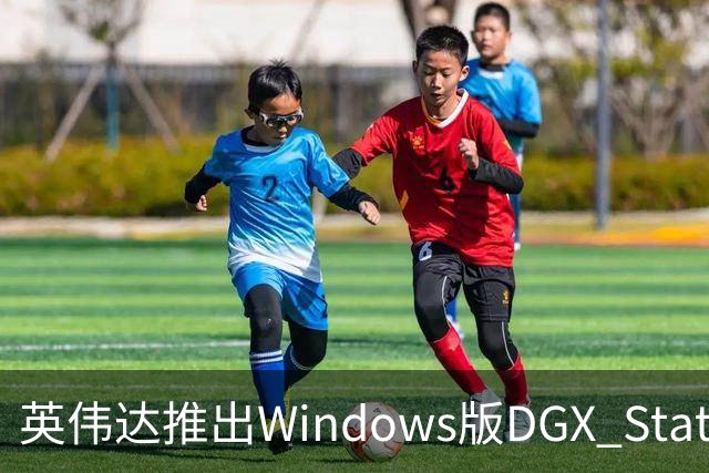 英伟达推出Windows版DGX Station：748GB统一内存