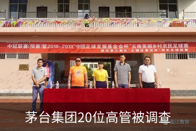 茅台集团20位高管被调查