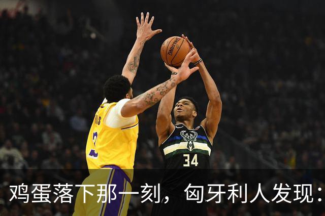 鸡蛋落下那一刻，匈牙利人发现：换掉欧尔班，换了个人挨砸