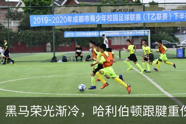 黑马荣光渐冷，哈利伯顿跟腱重伤归来重新出发