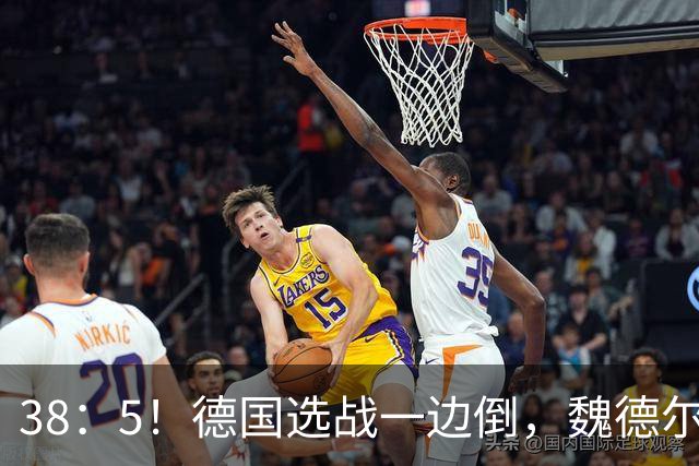 38：5！德国选战一边倒，魏德尔压倒性大胜，中德走向迎来新拐点