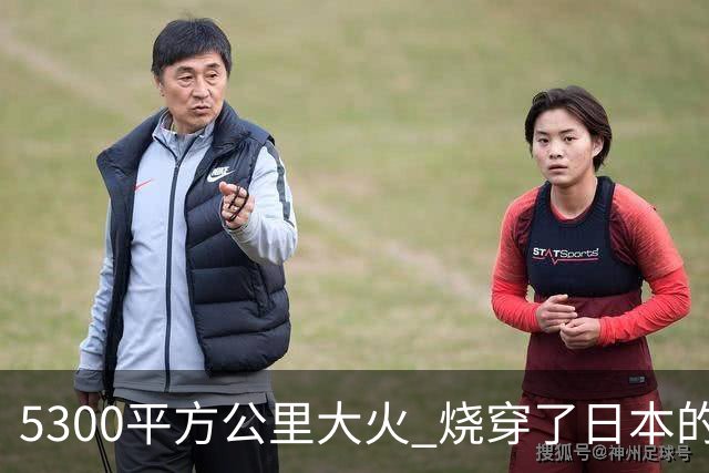 5300平方公里大火 烧穿了日本的傲慢